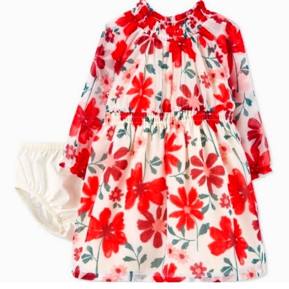 Carter's Other - NEW! Baby Girls 2pc Set Long Sleeve Floral Chiffon Dress, Red, ⁃ Carter'